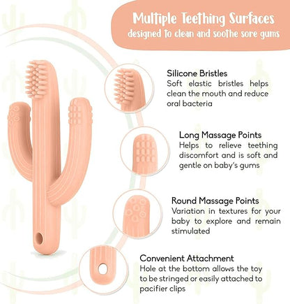 Cactus Teether, Baby Teething Toys for Babies 0-6 Months 6-12 Months