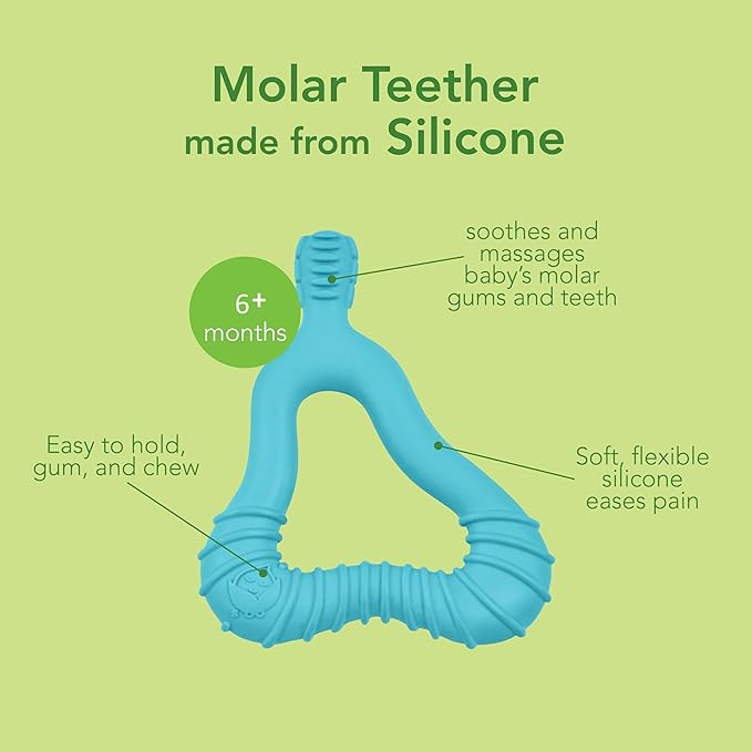 Green Sprouts Silicone Molar Teether, 12mo+