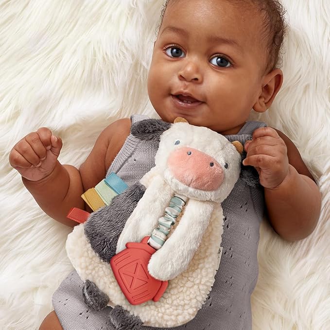 Itzy Ritzy - Itzy Lovey Including Teether