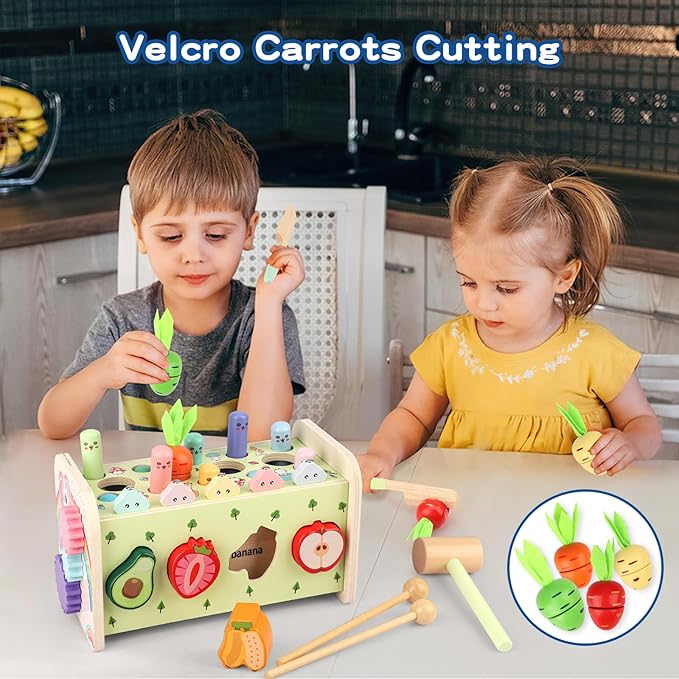 10 in 1 Montessori Toys for 1+ Year Old Wooden 1 2 3