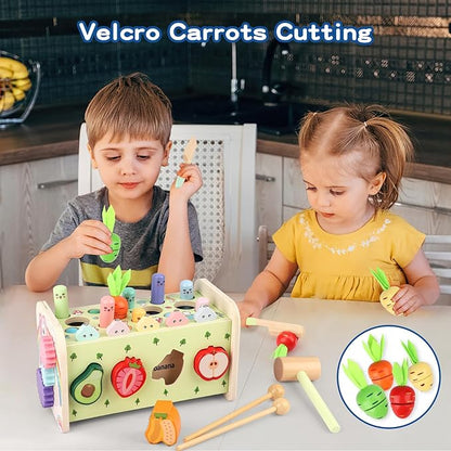 10 in 1 Montessori Toys for 1+ Year Old Wooden 1 2 3