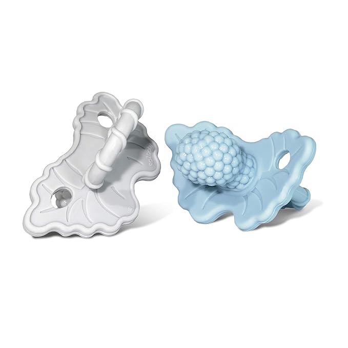 RaZbaby Soft Silicone Infant & Baby Teether, Berrybumps Textured Teething Relief Pacifier 3M+ 2-Pack ??
2113,b0d4vhmzcm,Baby Solids/Frozen Fruit Feeder Pacifier