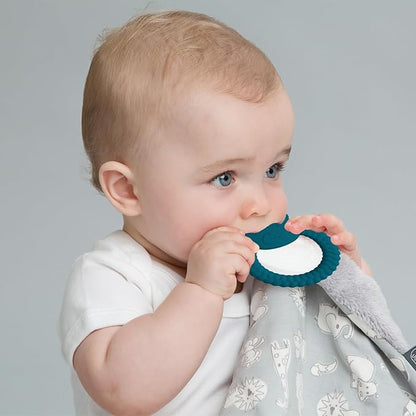 Silicone Teething Toys, Animal Teething Rings 0-6 Months, 3 Pack