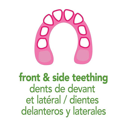 green sprouts Front & Side Teether made from Silicone | Soothes & massages baby's front & side gums & teeth