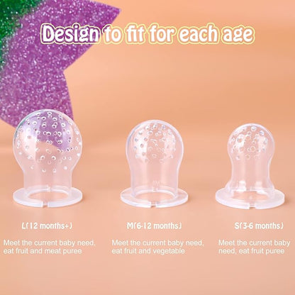 Baby Solids/Frozen Fruit Feeder Pacifier, Infant Teether Toy 4M+ 2-Pack (Mickey