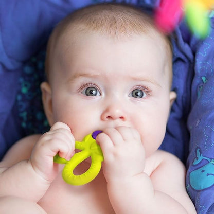 SHARE&CARE BPA Free Silicone Fruit Baby Teether Toys Baby Teething 3 Months Relief(5 Scissor