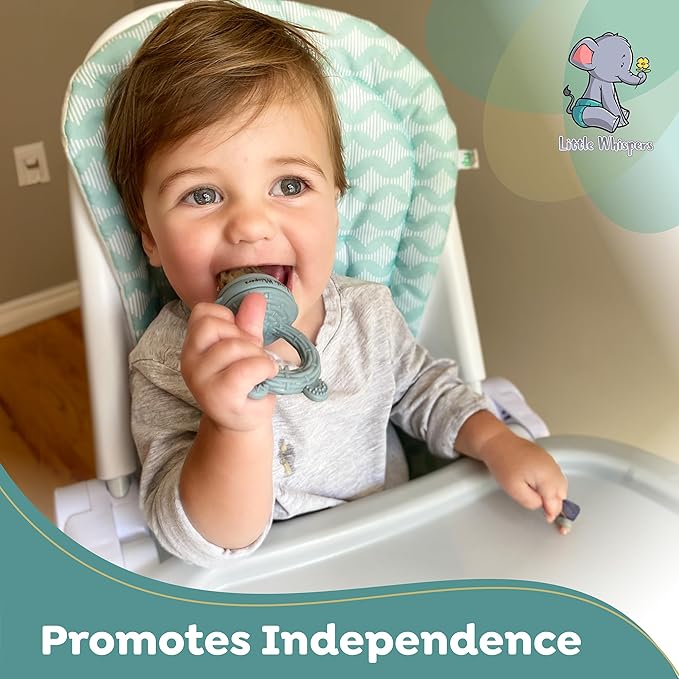 LittleWhispers Baby Teether Feeding Pacifier - Infant Fruit Feeder (Blue