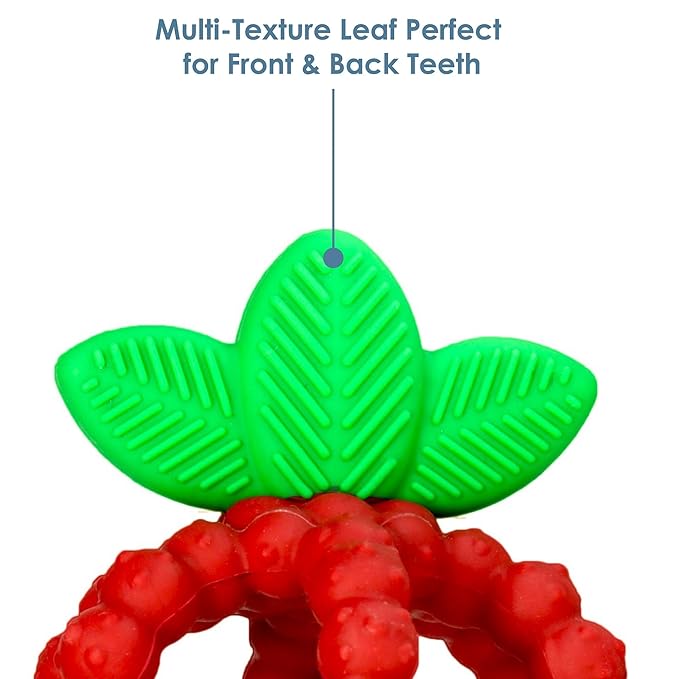 RaZbaby Silicone Infant & Baby Teething Toy, Textured BerryBumps Soothe Babies??Sore Gums 3M+ -