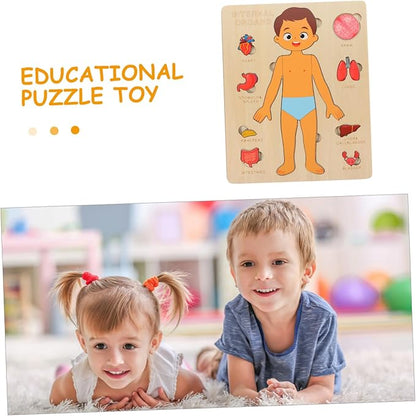 1 Set Human Body Structure Puzzle Model Kid Toys Kids