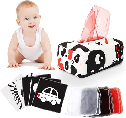 Baby Toys 6 to 12 Months - Baby Tissue Box Toy 1 Year