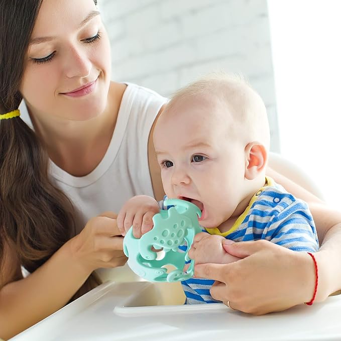 Ashtonbee Baby Fruit Pacifer Feeder 2 Pack Perfect for Introducing 6-12 Months