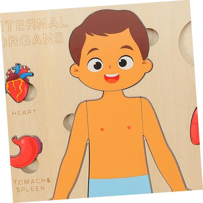 1 Set Human Body Structure Puzzle Model Kid Toys Kids