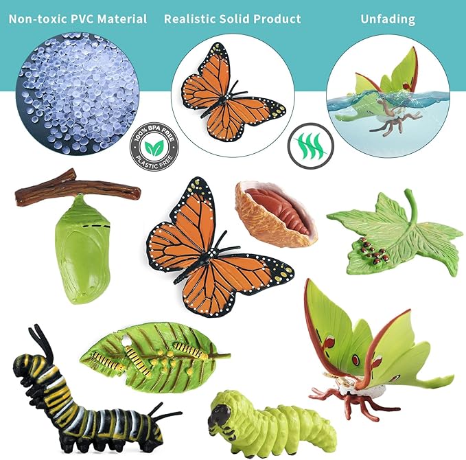 iftnotea 8PCS Monarch Butterflies Life Cycle Toy Figurines for Kids 3 4 5 6