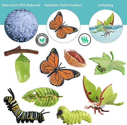 iftnotea 8PCS Monarch Butterflies Life Cycle Toy Figurines for Kids 3 4 5 6