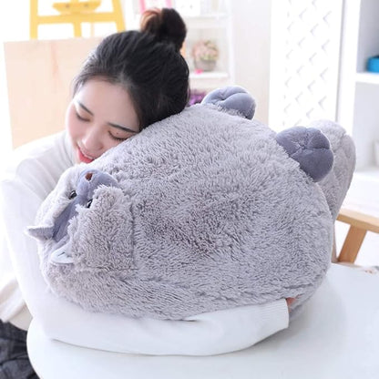Winsterch Kids Large Cat Stuffed Animal Toys Gift Big Plush Cat Animal Baby Doll, Fat Gray Plush Cat Toy for Boys (Gray 20 Inches)
