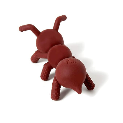 Doddle & Co. The Chew Ant Teether with Poppable Bubbles | Toddler Teething Fidget Toy for Baby 1