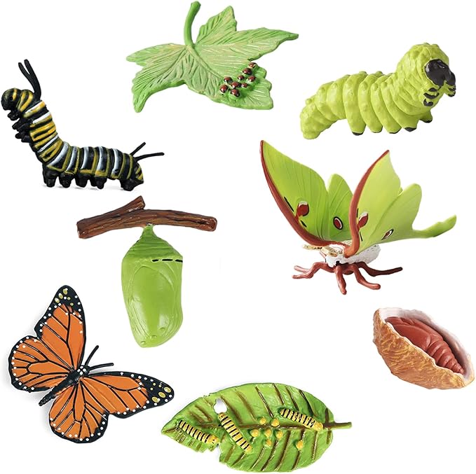iftnotea 8PCS Monarch Butterflies Life Cycle Toy Figurines for Kids 3 4 5 6
