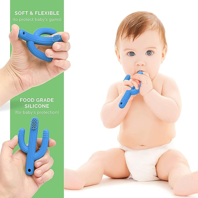 Cactus Teether, Baby Teething Toys for Babies 0-6 Months 6-12 Months