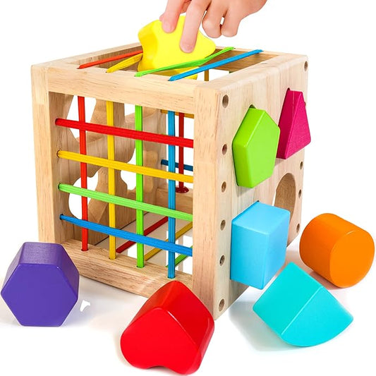 HELLOWOOD Montessori Toys for 1+ Year Old, Wooden Sorter Cube with 8pcs Rattling Shapes