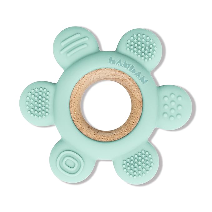 BAMBAM Baby Premium Silicone Teething Ring Toy ??100% BPA Free, Child Safety Tested 0-6, 3-6 6-12 Months