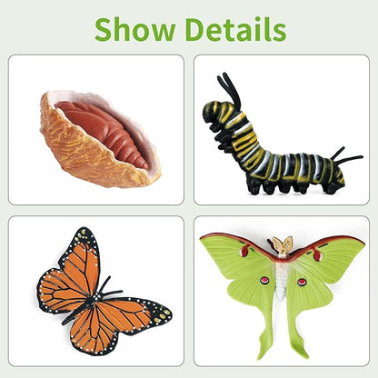 iftnotea 8PCS Monarch Butterflies Life Cycle Toy Figurines for Kids 3 4 5 6