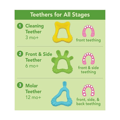 green sprouts Molar Teether Made from Silicone | Soothes & Massages Baby's Molar Gums & Teeth 1 Count 2)