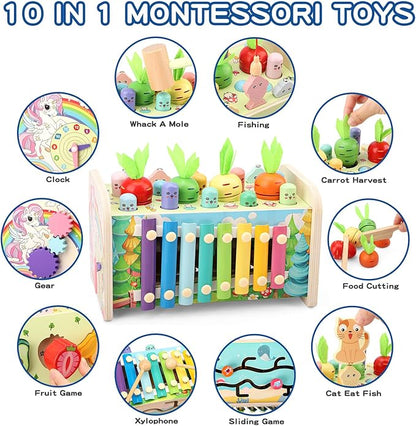 10 in 1 Montessori Toys for 1+ Year Old Wooden 1 2 3