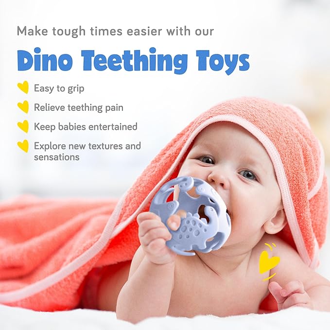 Ashtonbee Baby Fruit Pacifer Feeder 2 Pack Perfect for Introducing 6-12 Months