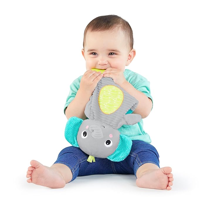 Bright Starts Snuggle & Teethe BPA-free Crinkle Teething Plush Baby