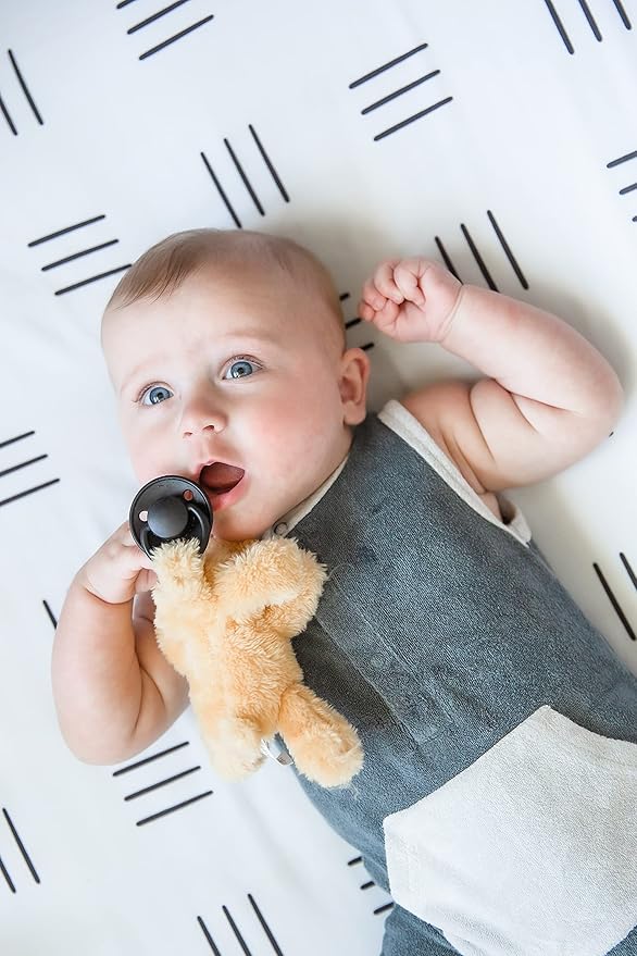 Furry Friend Pacifier Plush Toy - Ultra Soft Cuddly 100% Polyester with Medical Grade Silicone Pacifier (Color Varies), Machine Washable