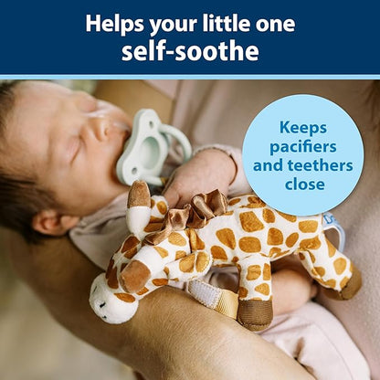 Dr. Brown's Lovey Pacifier and Teether Holder, 0 Months Plus