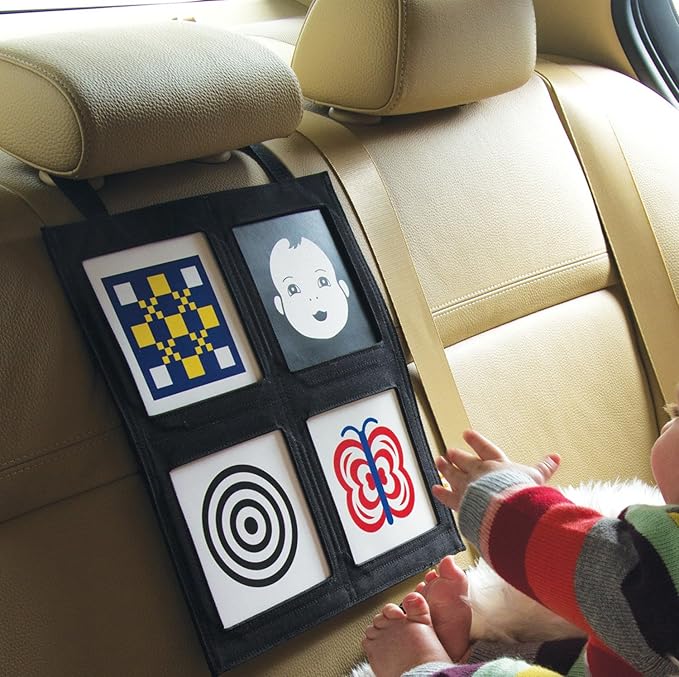 Manhattan Toy Wimmer-Ferguson Travel Activity Car Seat Gallery 11.5" x 12.5" x 0.25"
