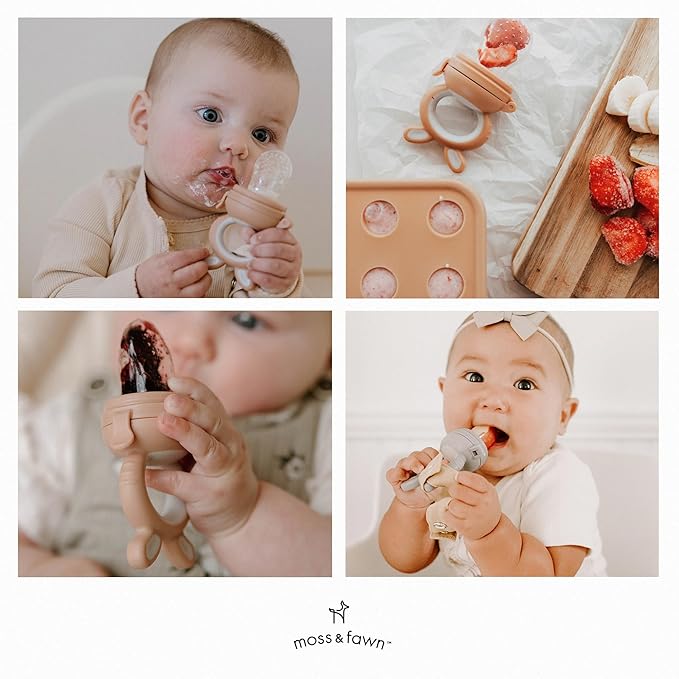 Forage Feeder, Soothing Silicone Frozen Baby Food Teething Toy