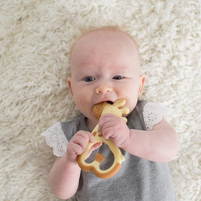 Dr. Brown's Flexees Blue Bunny & Ridgees Giraffe Silicone Baby Teethers, Designed for 3m+ Infants
