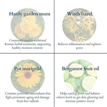 Body Wash Sheets 1 Month Refill, Zero Waste 30 Sheets 60 washes)