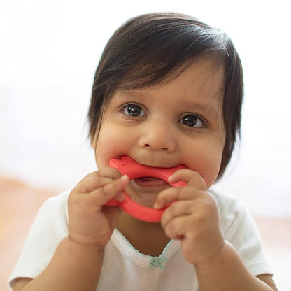 Dr. Brown's Flexees Friends Orange Fox, Soft 100% Silicone Baby Teether 3m+