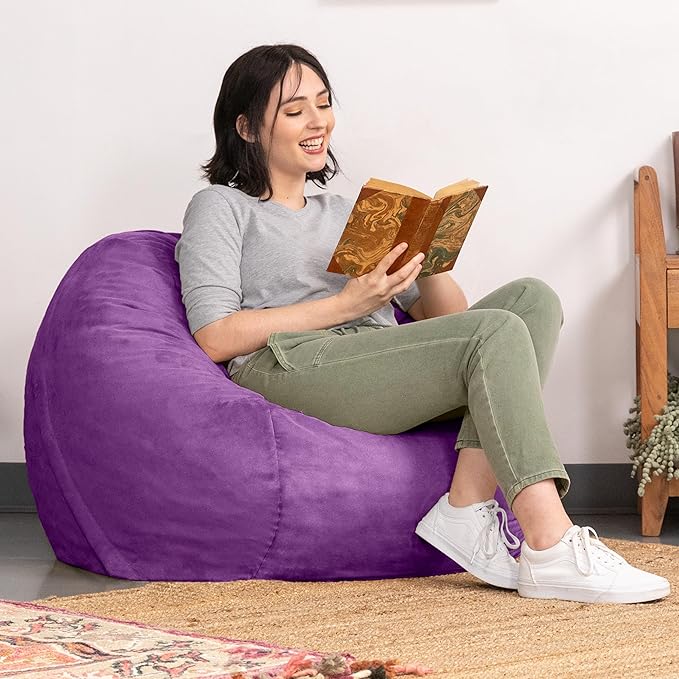 Jaxx 3 ft Bean Bag Chair with Removable Cover, Grape