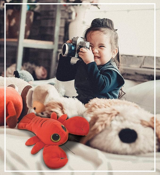 DolliBu Red Lobster Stuffed Animal - Super Soft Big Eyes Lobster Plush, Ocean Stuffed Animal Plush Toy for Boys and Girls -6 Inches