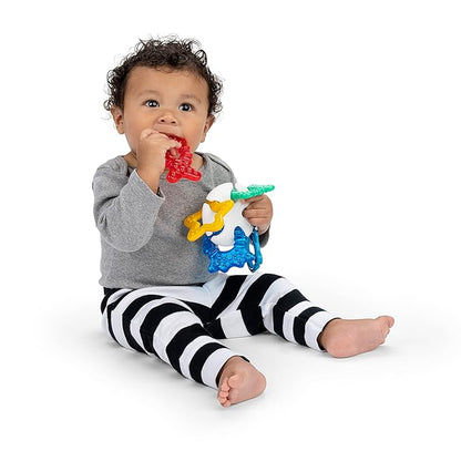 Baby Einstein Ocean Explorers Sea of Sensory Teether Toy BPA 3 Months