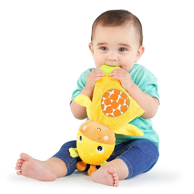 Bright Starts Snuggle & Teethe BPA-free Crinkle Teething Plush Baby