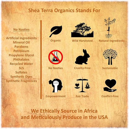 Shea Terra Organics Mama and Baby Collection | Bananas & Monkey Bread Baby Lotion 16oz