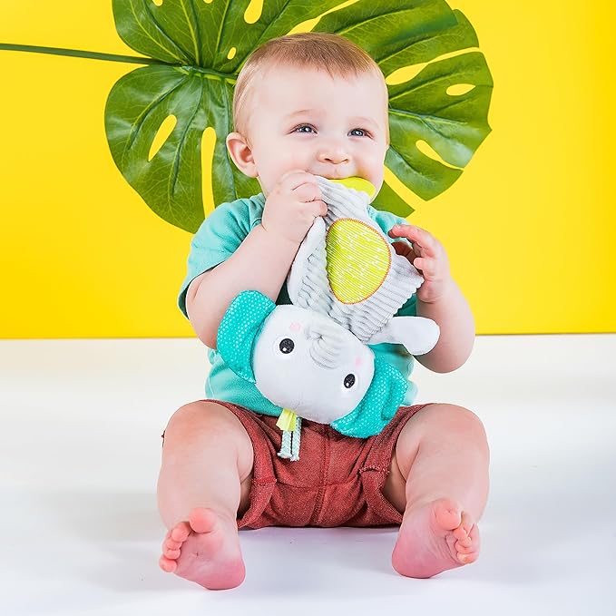 Bright Starts Snuggle & Teethe BPA-free Crinkle Teething Plush Baby