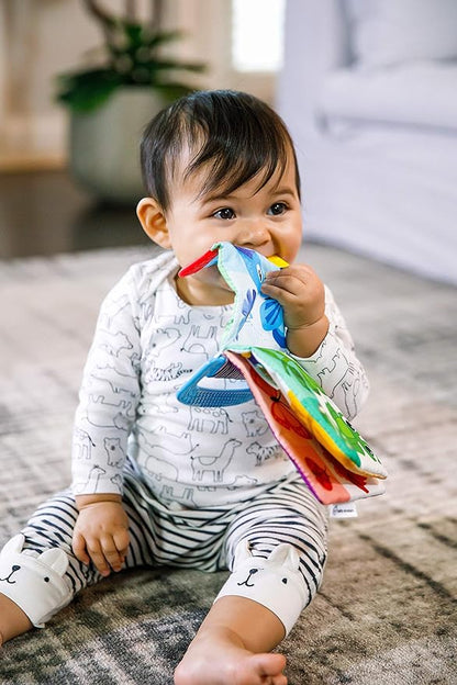 Baby Einstein Curious Explorers Teether Book Take-Along Toy, Ages Newborn +