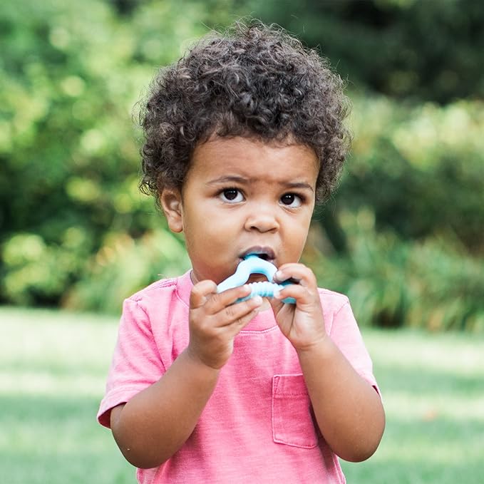 green sprouts Molar Teether Made from Silicone | Soothes & Massages Baby's Molar Gums & Teeth 1 Count 2)